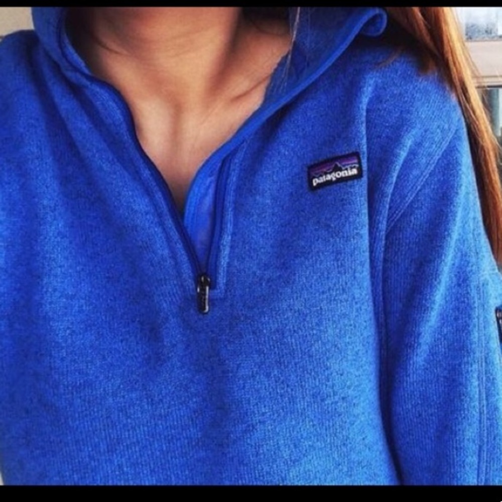 Indigo Patagonia better sweater